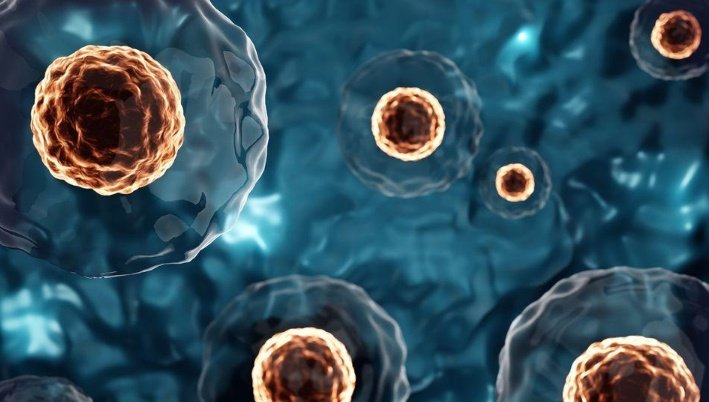 curiomindX's tweet photo. Scientists have discovered that some human blood stem cells can “remember” past inflammation. These cells, called HSC-iM cells, keep long-term changes after infections or inflammatory stress and pass those effects to future immune cells. 

Researchers also found that these cells increase with age and may raise the risk of blood disorders and cancers like leukemia.