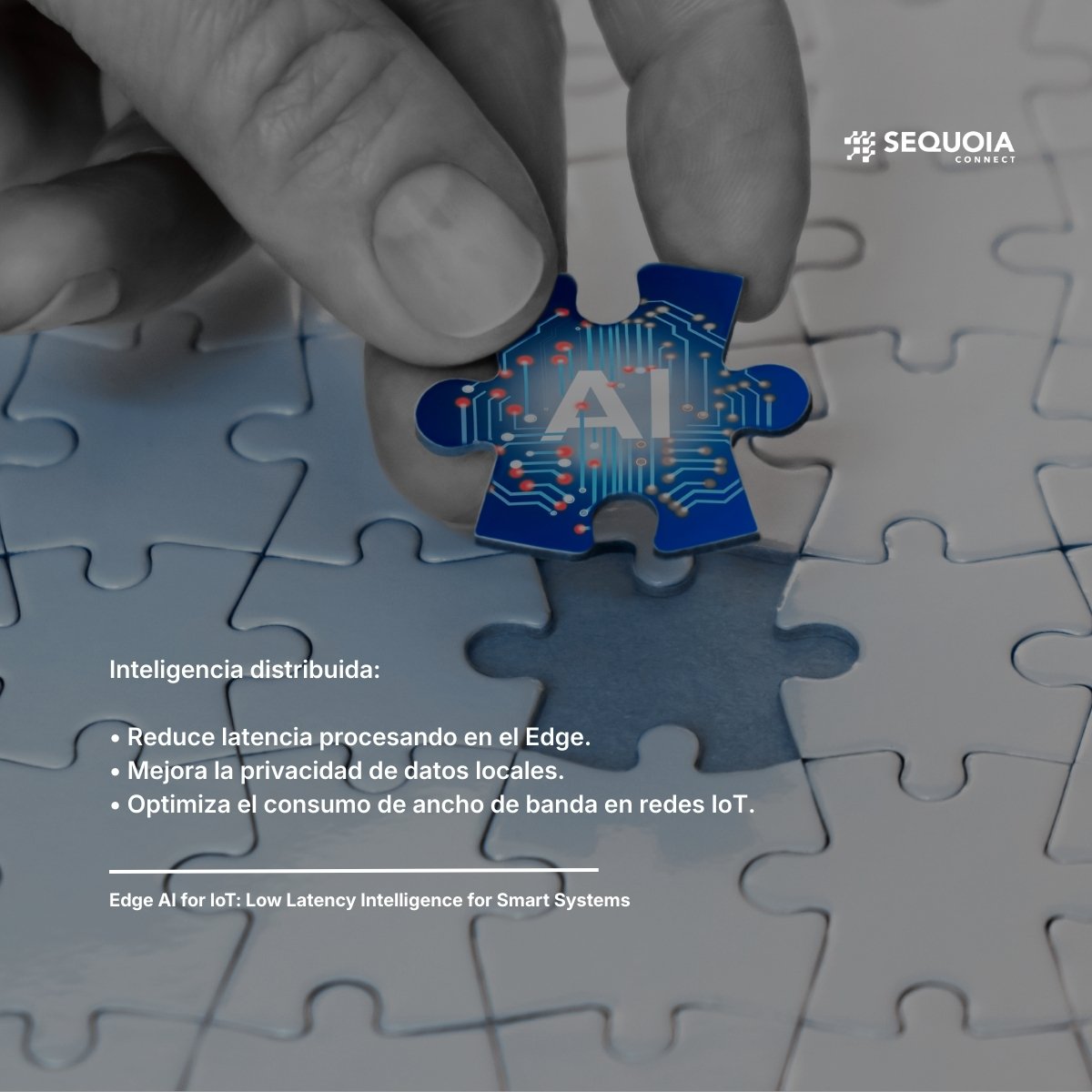 SequoiaConnect's tweet photo. El futuro es inteligente y local. El Edge AI reduce latencia y mejora la privacidad para tus sistemas IoT este 2026.

Ver soluciones: https://t.co/5V6wMVgmlR

#SequoiaConnect #TechAI https://t.co/wdNIBXvN8m