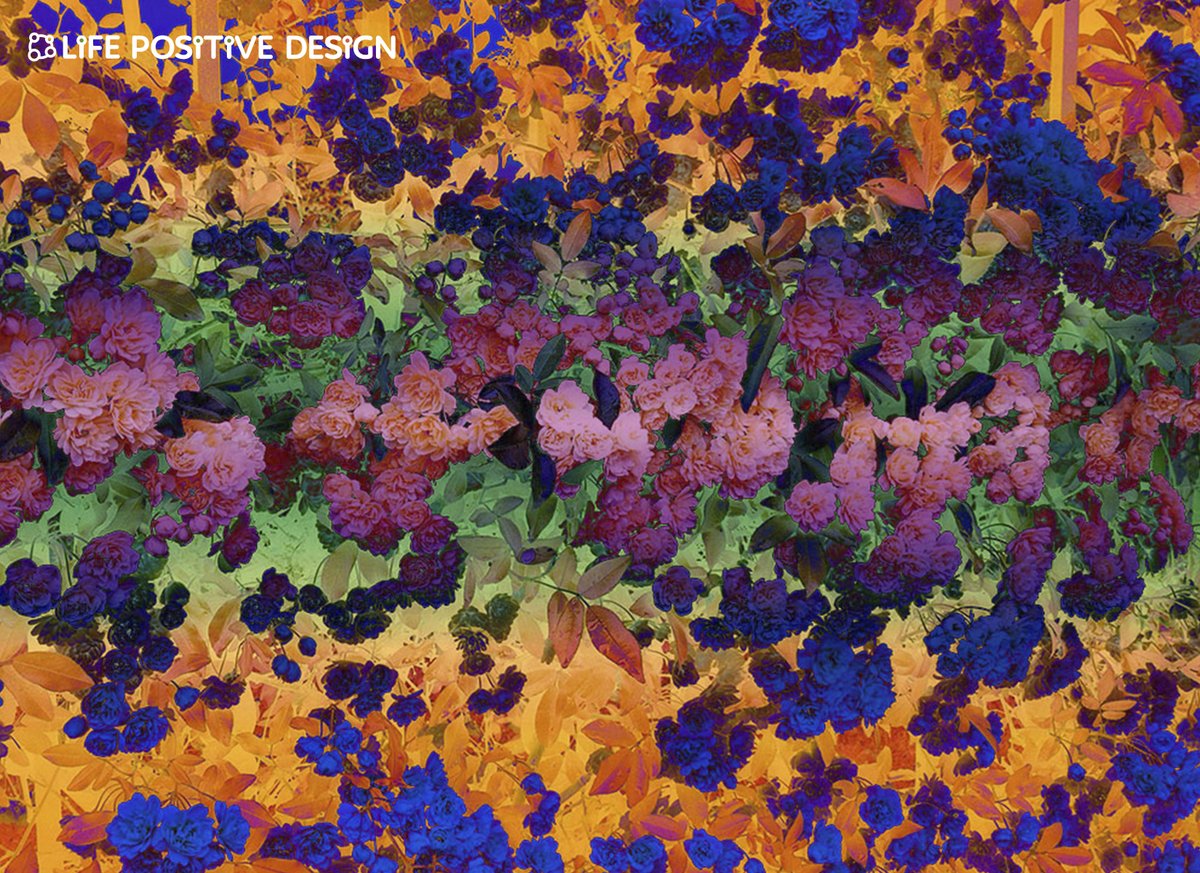 alebis6's tweet photo. Scelgo i colori come mappe dell'emozione: texture, impulsi digitali e tocchi materici che richiamano la natura e parlano al collezionista contemporaneo. Scopri la serie e le opzioni di personalizzazione e spedizione internazionale → https://t.co/RALTbwXNUk #arte https://t.co/J9Kl9QJVwt