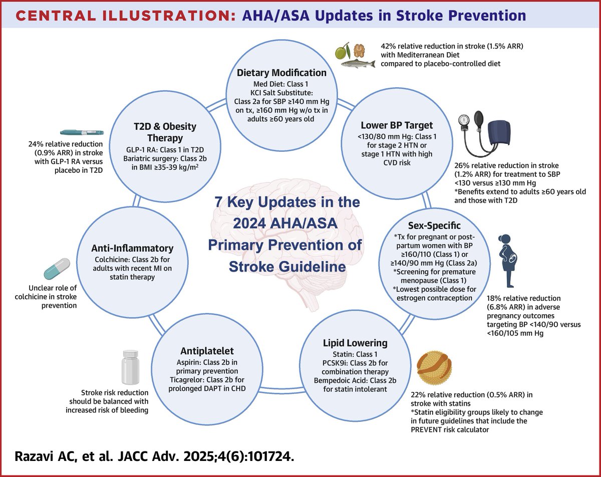 JACCJournals's tweet photo. This #JACCAdvances review highlights key updates from the 2024 AHA/ASA stroke prevention guidelines, including diet, GLP-1 RAs, BP targets, lipid-lowering therapy, &amp; more for personalized #stroke prevention: https://t.co/XVnwLogkIO #StrokeAwarenessMonth #cvPrev https://t.co/ydtW1EnC6x