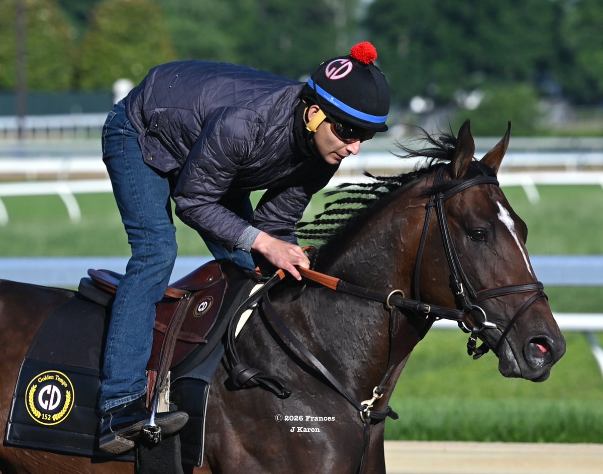 francesjkaron's tweet photo. 2026 Kentucky Derby winner Golden Tempo galloping at Keeneland this morning ahead of the Belmont at Saratoga a week from tomorrow. (Entries will be taken on Sunday.) https://t.co/Jjq9yUYfsM
