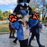 Photo by Kiiro (@Another_Lucario)
