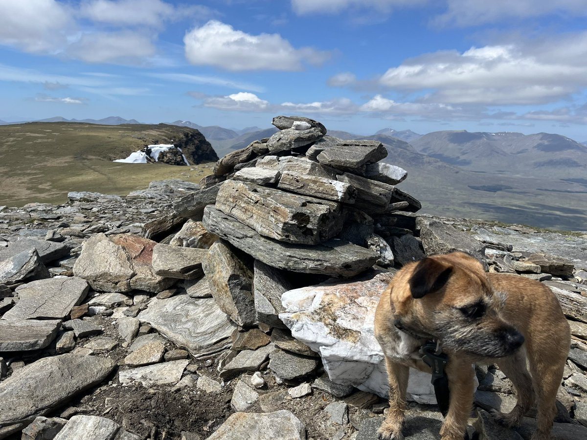 Bracken_the_BT's tweet photo. Pals #btposse, we dun a venchur Wednesday an took da super-early Ember bus up to Bridge of Orchy an picked off 2 munros. Was a fab day an I drank a load of water. We met 2 other BTs goin up too. #munro #emberbus #munrobagging https://t.co/f0JYWwX64G