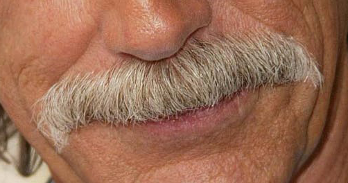 MustacheElliott's tweet photo. Every tumbleweed was once proud of where it stood. https://t.co/bK3XmQFX6E