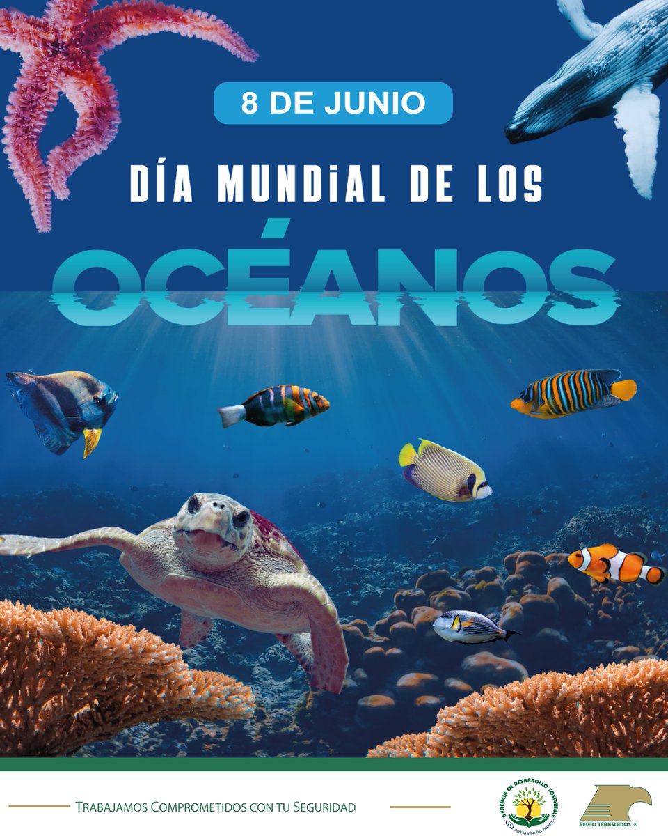 RT_Logistica's tweet photo. Este 8 de junio, conmemoramos el Día Mundial de los Océanos.
Regio Traslados promueve la importancia de proteger los ecosistemas marinos y cuidar los recursos naturales. 🌊🌎

#DíaMundialDeLosOcéanos #Sostenibilidad #MedioAmbiente #DesarrolloSostenible https://t.co/LZyMUs02iw