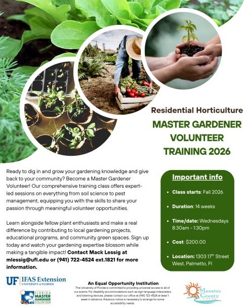 ManateeGov's tweet photo. Do you have an interest in gardening and want to make a real impact in your local community? Sign up today to be a Master Gardener Volunteer!

As a Master Gardener Volunteer, you will undergo comprehensive training that will teach you everything from soil, pests, and plants. After training, you will have the opportunity to serve your community through education programs and gardening projects. 

Contact Mack Lessig at mlessig@ufl.edu or (941) 722-4524 ext.1821 for more information!