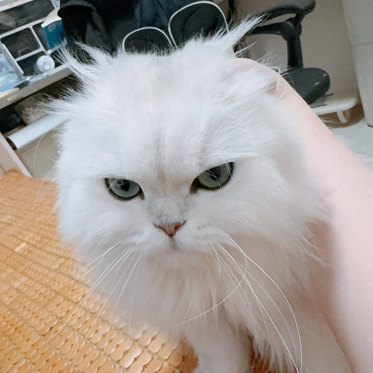 TAKU tweet media