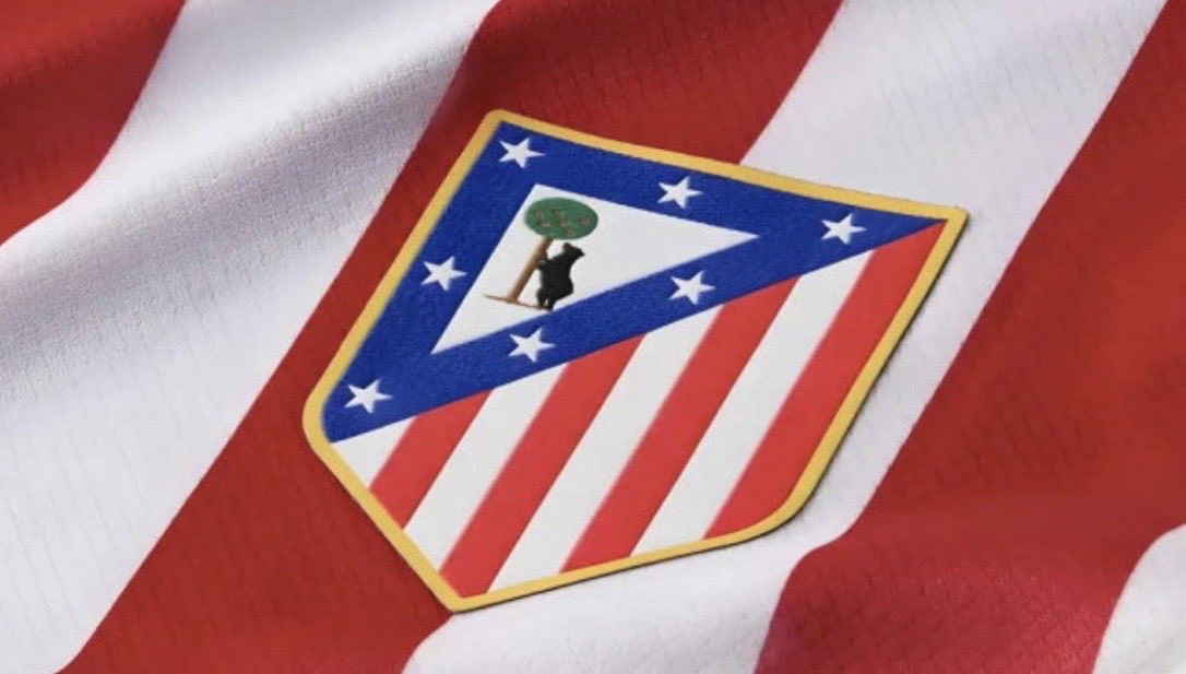 Boreolo1's tweet photo. 🚨🔴⚪️ | Official ANNOUNCEMENT of Atlético de Madrid:

“I'm not gay, I was just experimenting. If I go for a run once, am I already a runner? No. All right, it's the same. Did I suck dick? Yes. Did I get fucked? Yes. But it was the first and last time. I'm straight” https://t.co/Uz0kynmVpj