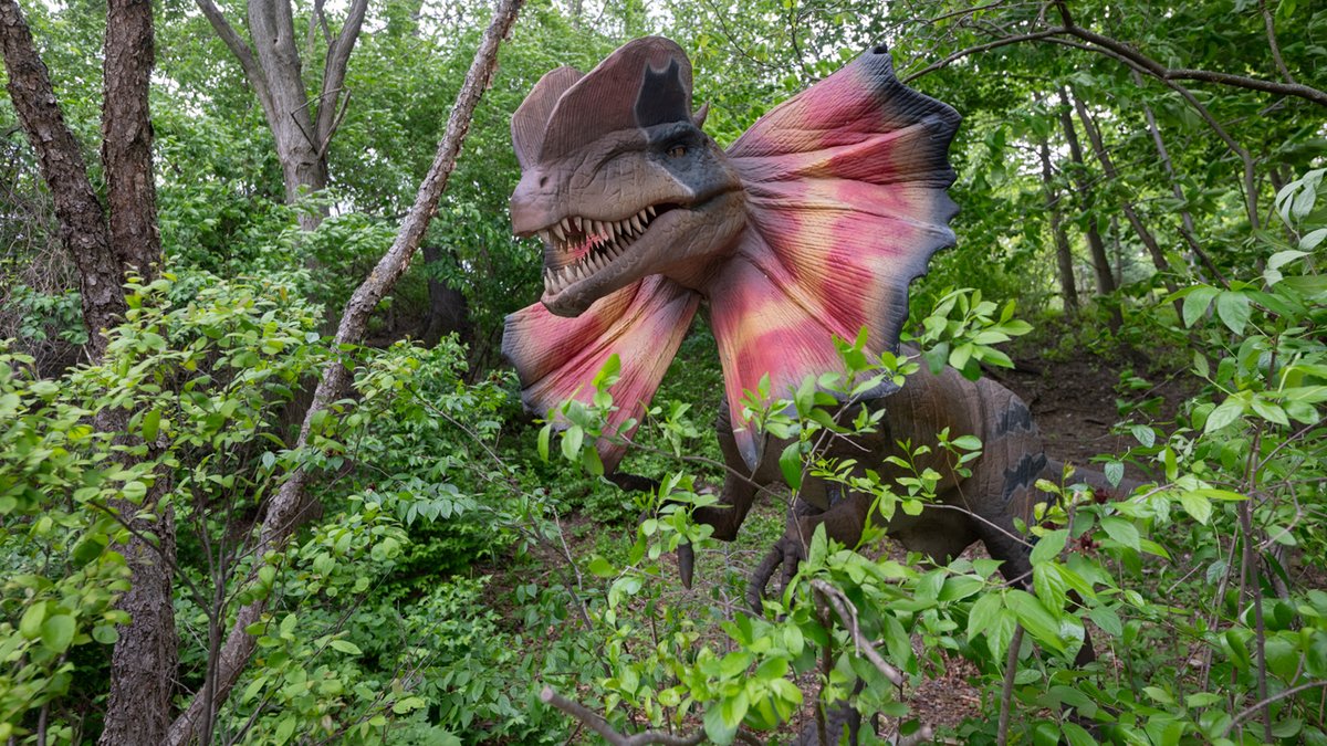 PghZoo's tweet photo. Summer Safari: Zoorassic Park is one week away! It's looking like a beautiful night for Friday, June 5. If you don’t have a ticket yet, hope is not extinct! Here are the top five reasons to come have a dino-mite time at the wildest fundraiser of the year: https://t.co/C6Rv4ZgbwR https://t.co/JtXNAfIBI7