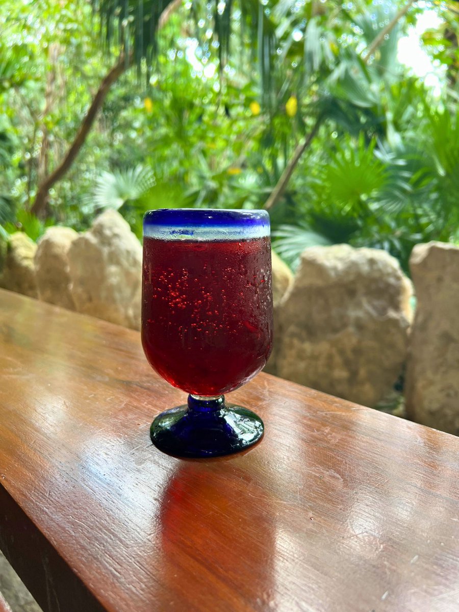 XplorPark's tweet photo. En nuestro restaurante buffet come todo lo que quieras, las veces que quieras. 

📍Troglodita, 11:00 am a 4:30 pm. https://t.co/oamm8dkFLT