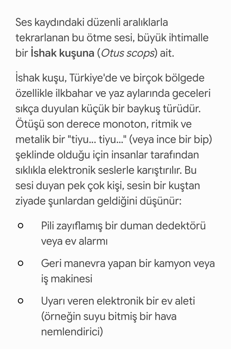 mr. mustnote tweet media