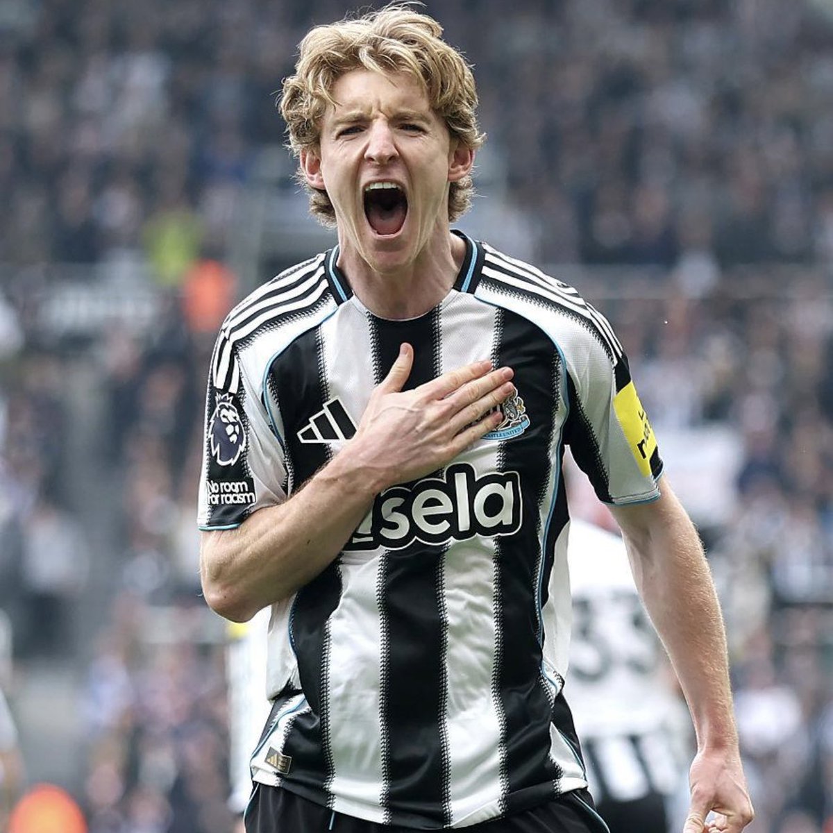 Esto es Newcastle tweet media