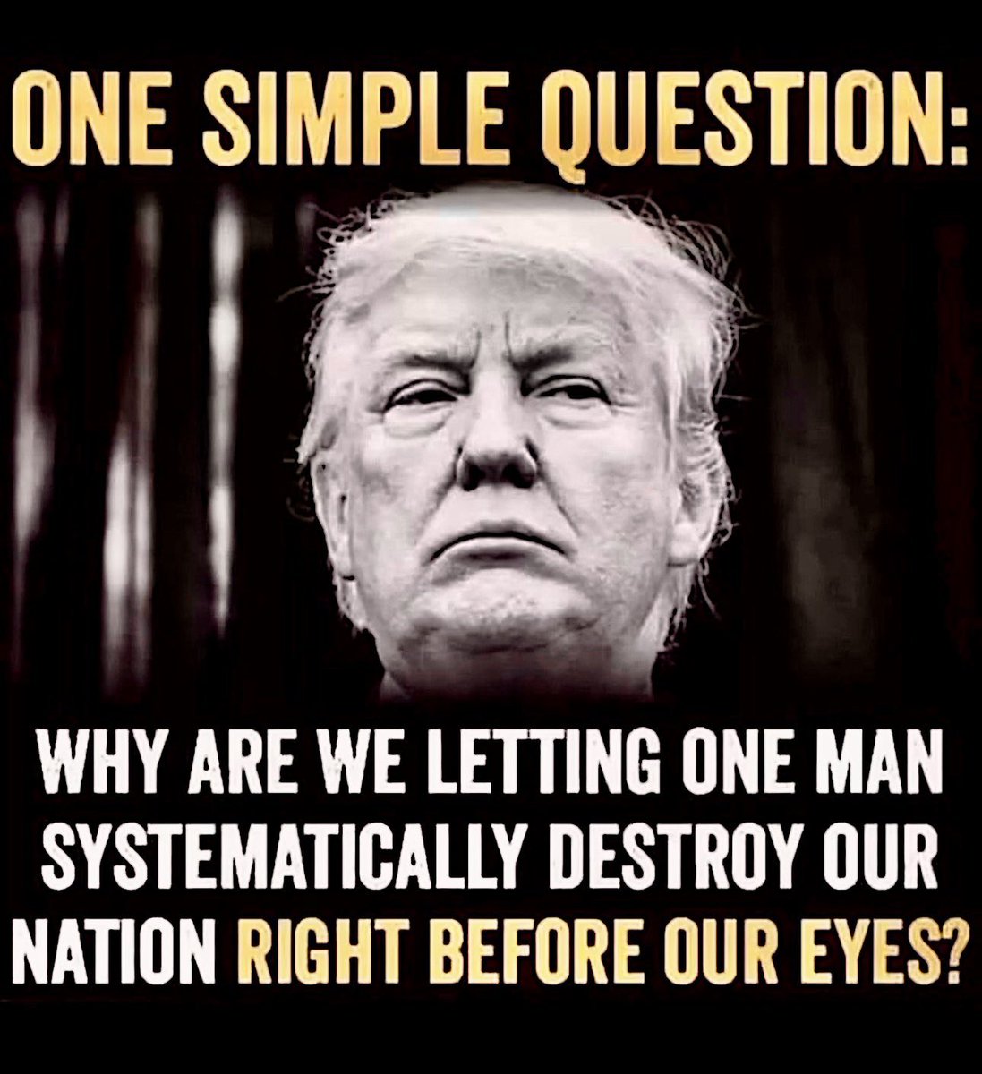 ZemanLynnZ's tweet photo. they will study this ABSURDITY for decades to come… https://t.co/Seu7iuHid4