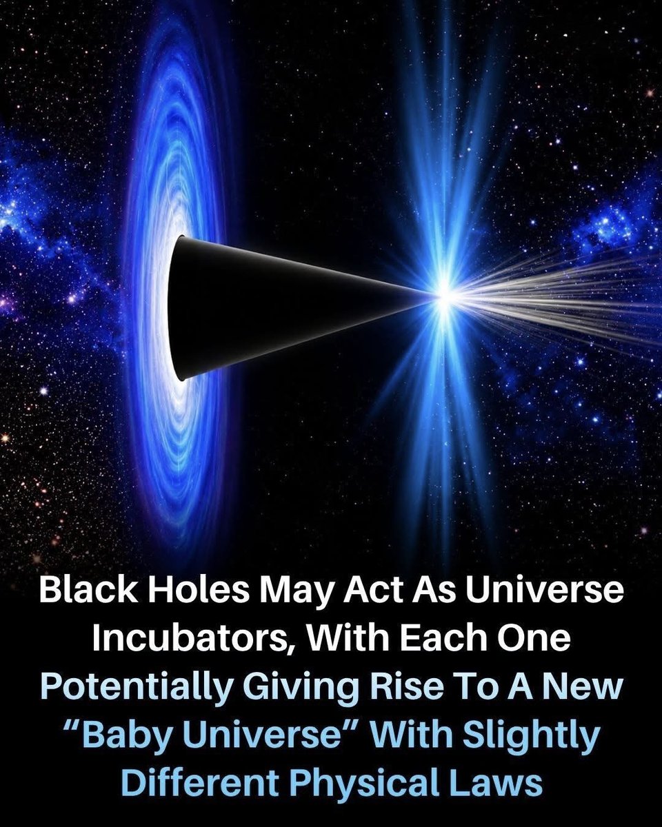 Next Science tweet media