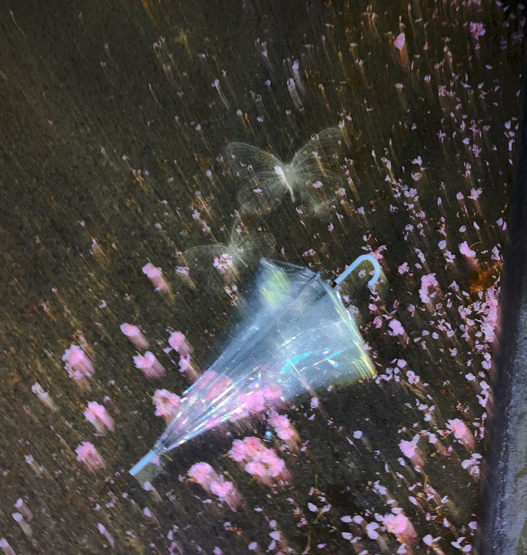 aestheticpost's tweet photo. Pink petals fall like whispered secrets.
They get caught on umbrellas, spin in rain-soaked water, and shimmer beside butterflies... https://t.co/70N6MKtqsd