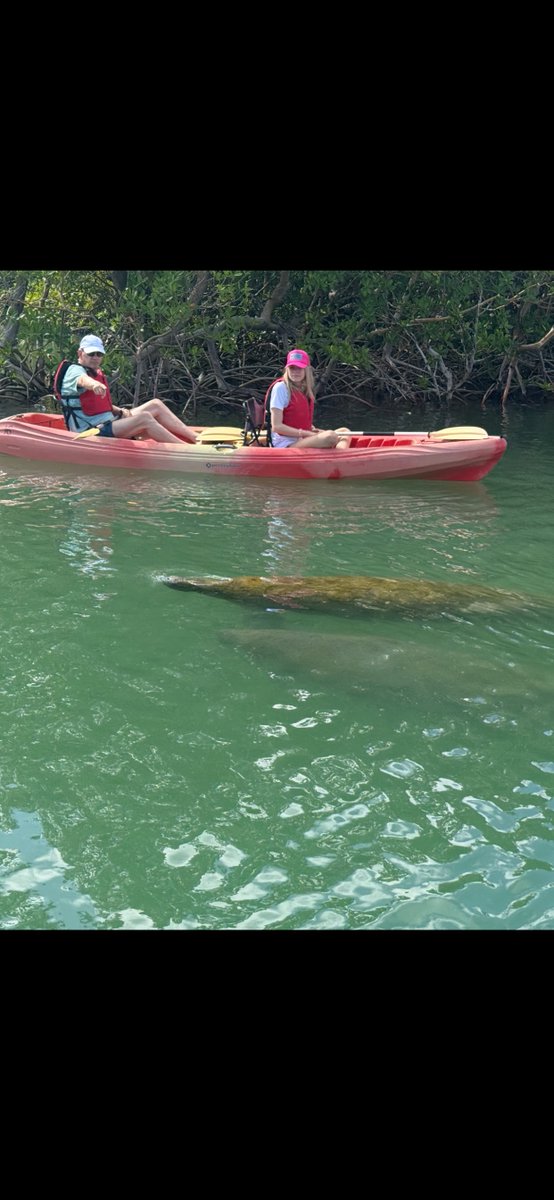 PaddleMarco's tweet photo. Well, hello there! #paddlemarco #kayakmarco #upacreek #upacreekkayak https://t.co/cnVe9R7VsN