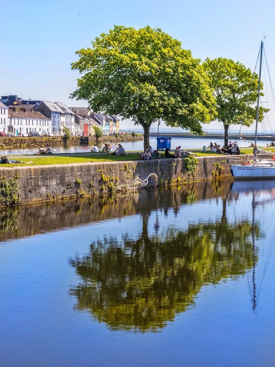 visit_galway's tweet photo. Happy Friday! Ya can't be those long weekend vibes in the city of the Tribes... 💙 😍

📸 IG/ shane.g.ireland
📍 Galway, Ireland

#Weekend #Galway #Ireland #VisitGalway https://t.co/LH0kAygMiE
