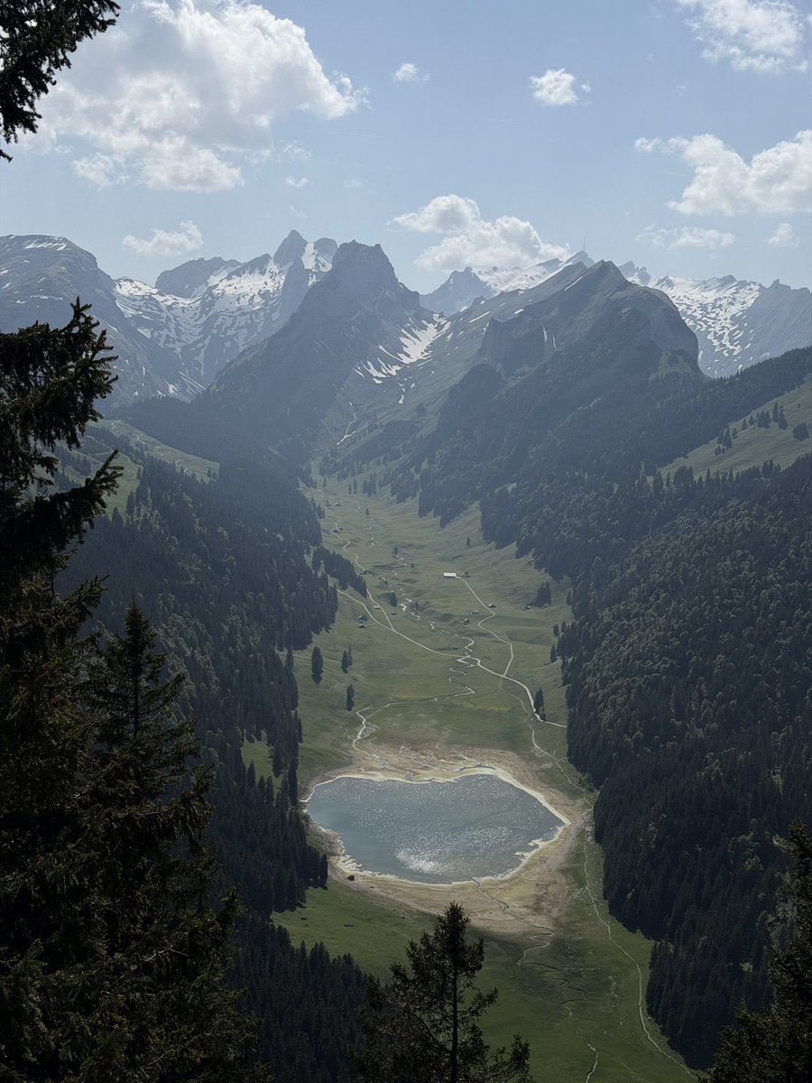 Abdullah. tweet media