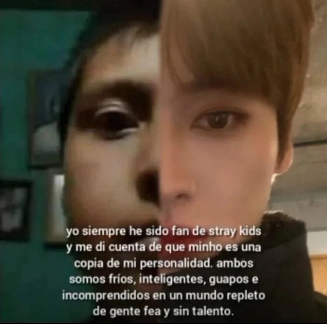 lulu VA A VER A SKZ EN ARG💋 tweet media