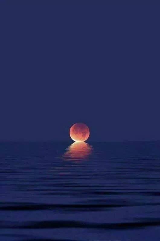 astrooalert's tweet photo. When the moon kisses the ocean https://t.co/DhPDcYJefJ