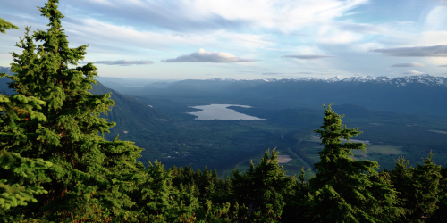 BCNPHA's tweet photo. Help ensure BCNPHA’s work reflects rural, remote, and northern realities.

BCNPHA is seeking expressions of interest for a new Rural &amp; Remote Advisory Committee.

Expressions of interest are open until June 3.

https://t.co/GrFUe47vvN

#RuralBC #NorthernBC #NonProfitHousing https://t.co/GSmReXPIH4