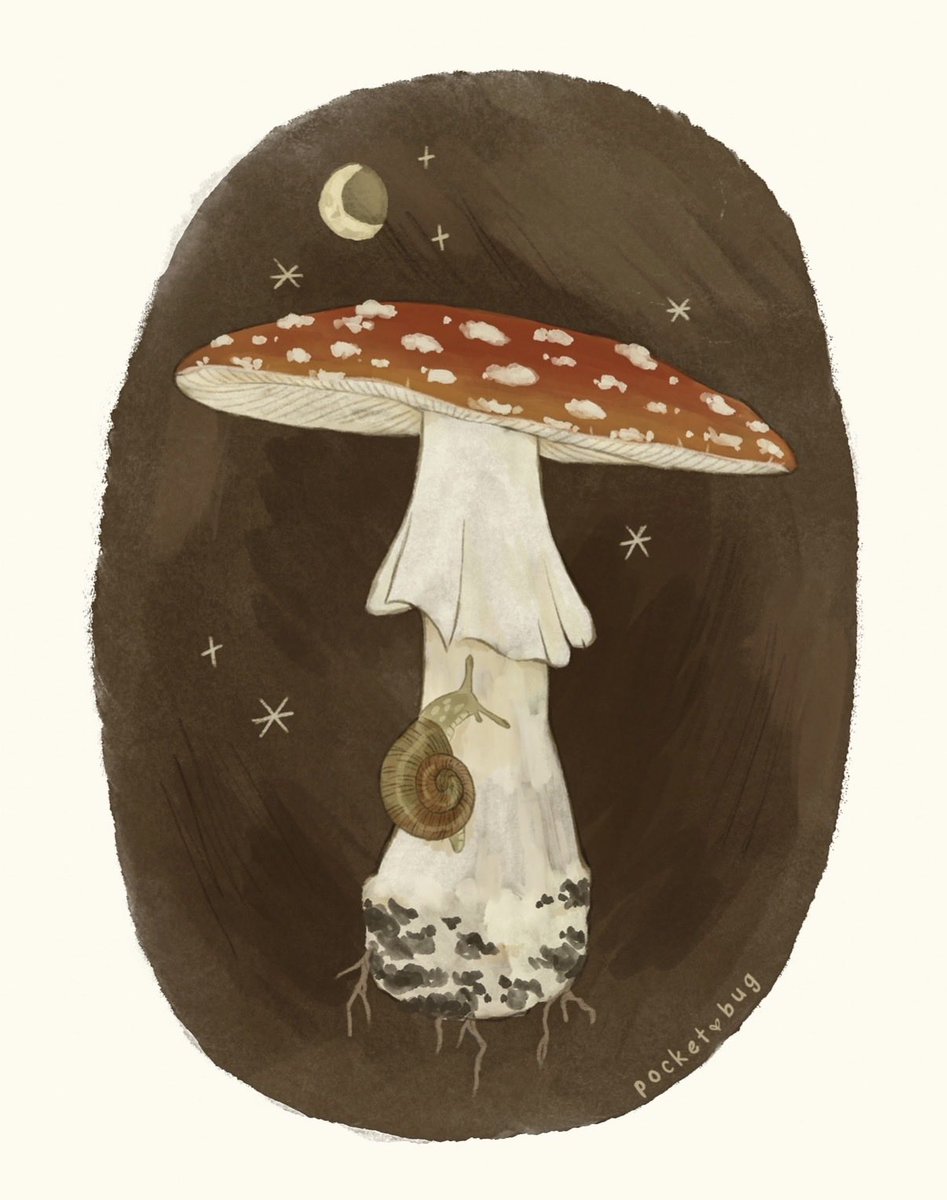 pocketbugart's tweet photo. Fly agaric 🍄˚.⋆ https://t.co/7QrjRajISJ
