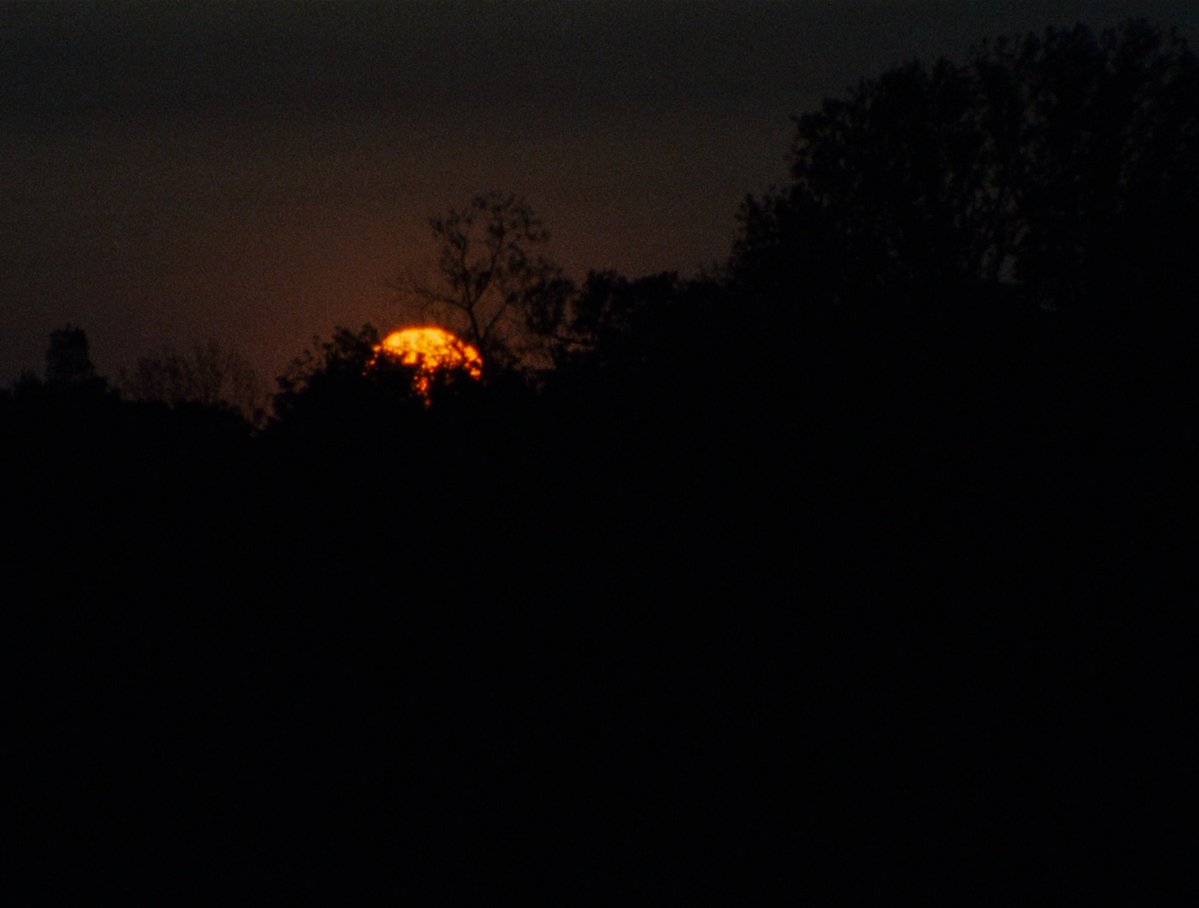 HauntedMovies's tweet photo. The Evil Dead (1981) dir. Sam Raimi https://t.co/jFWUCtMvp6