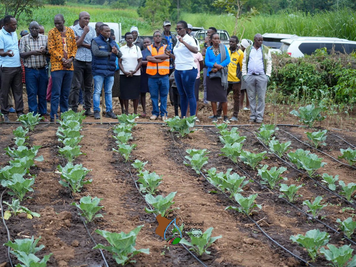 Irrigation_Auth's tweet photo. The CEO reiterated the need to fully utilize the installed irrigation infrastructure for food production to enhance household income and economic growth. He assured farmers that the Authority will continue to enhance their capacity through continuous Agronomic training . https://t.co/tvtuOoP5AJ