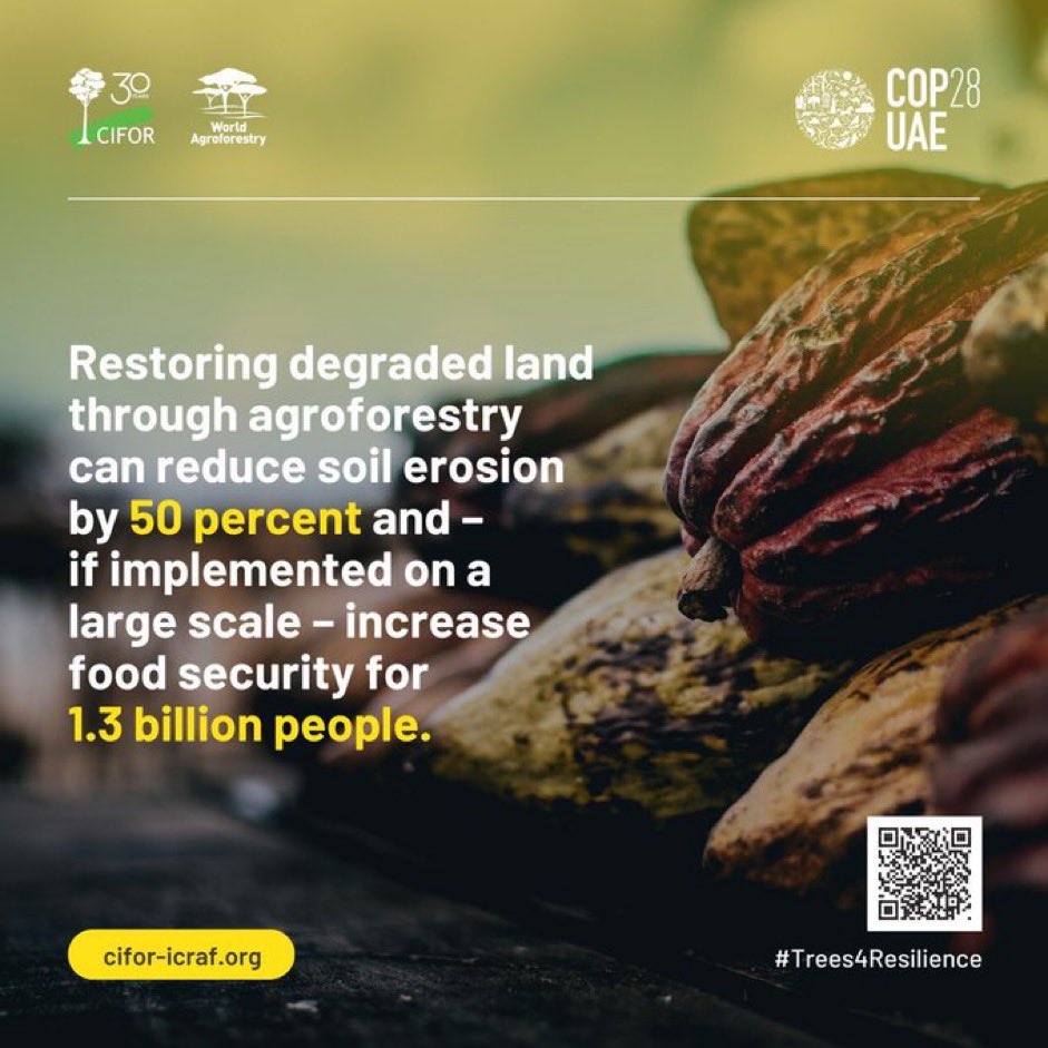kamallala8's tweet photo. @SadhguruJV A Planet under shade is a Healthy Planet. #Agroforestry enriches both our #Farmers and #Soils; averts deforestation, revitalises our #Rivers…thereby enabling natural cooling of #Earth’s surface💚🤎🩵
#SaveSoil https://t.co/eVq03tBvnC