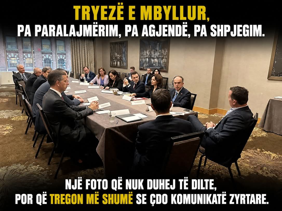 Alex Velaj tweet media