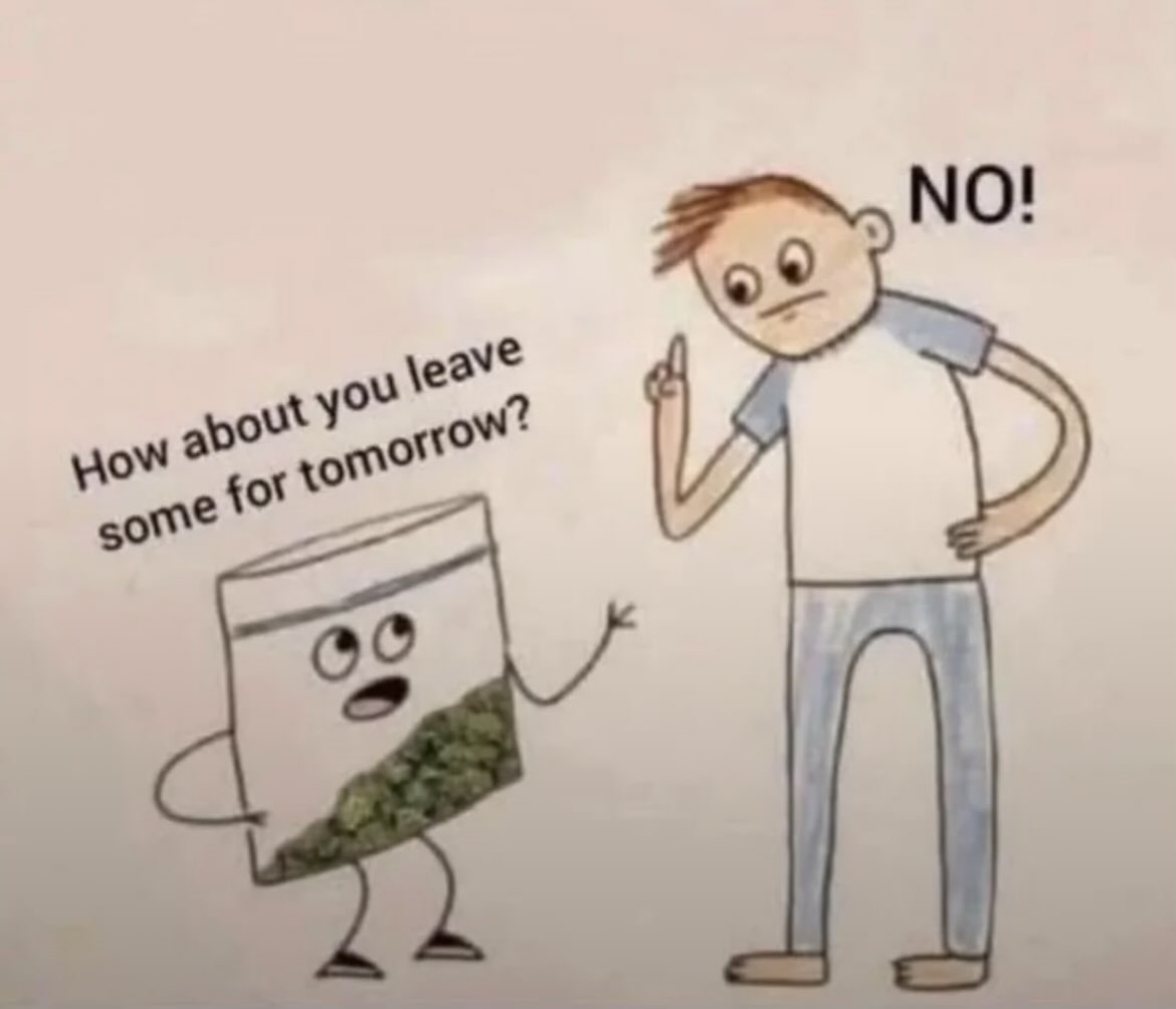 Be_like_calvin2's tweet photo. “weed: ‘leave some for tomorrow’
me at 1:43am: absolutely not” 😭🍃 https://t.co/H9nLjXaNZg