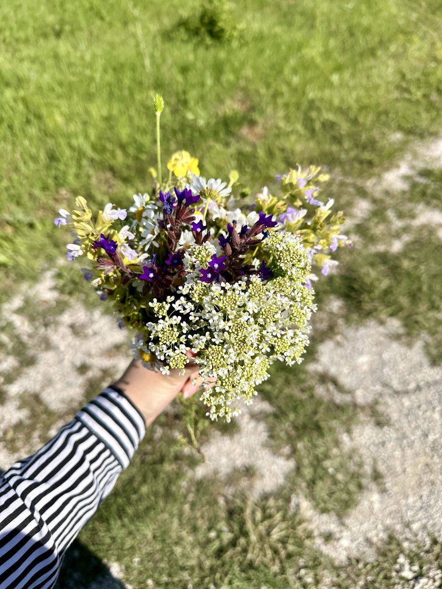 vybsvy's tweet photo. mom’s bouquet is so much better than mine with those tiny blue flowers 🫧 https://t.co/DHFwQ8WYGH