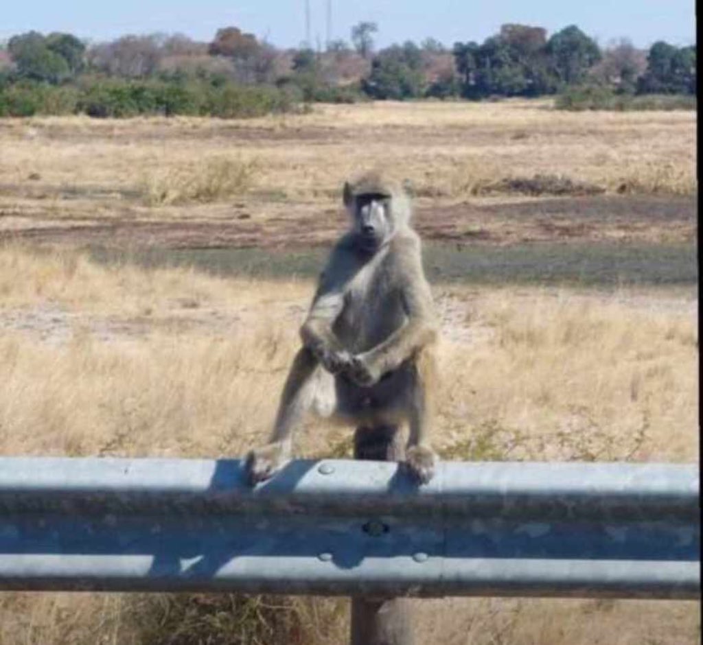 MNambaka's tweet photo. @Honcalebamisi Don't be tempted jomba,
Just file the motion.
Mungu mbele. https://t.co/HrL44vaLwI