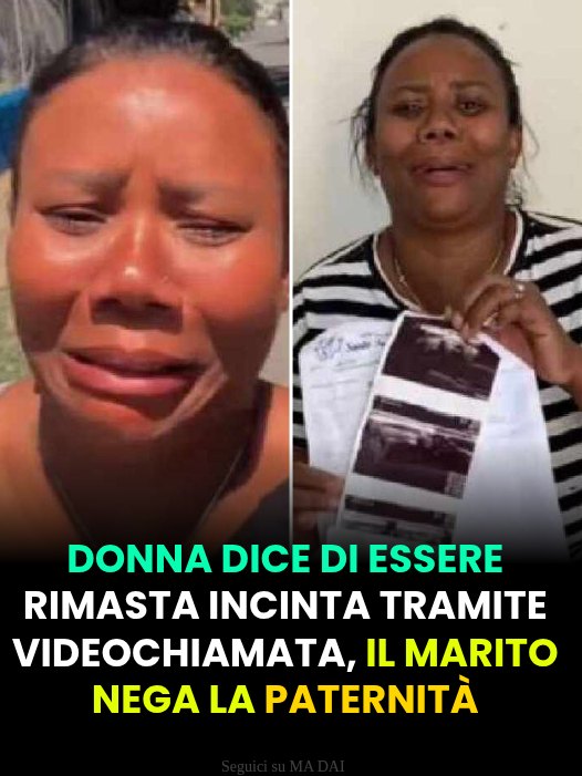 UmaTrauma tweet media