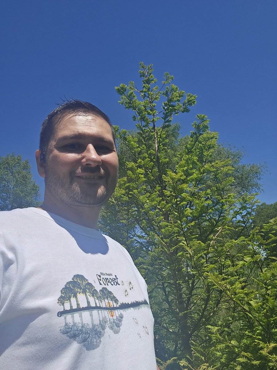 AndrewLads's tweet photo. Stopped by and checked out the trees from our first #ShibaFest. My have they grown especially the Luna Tree. https://t.co/G9Pxqyb5pI
