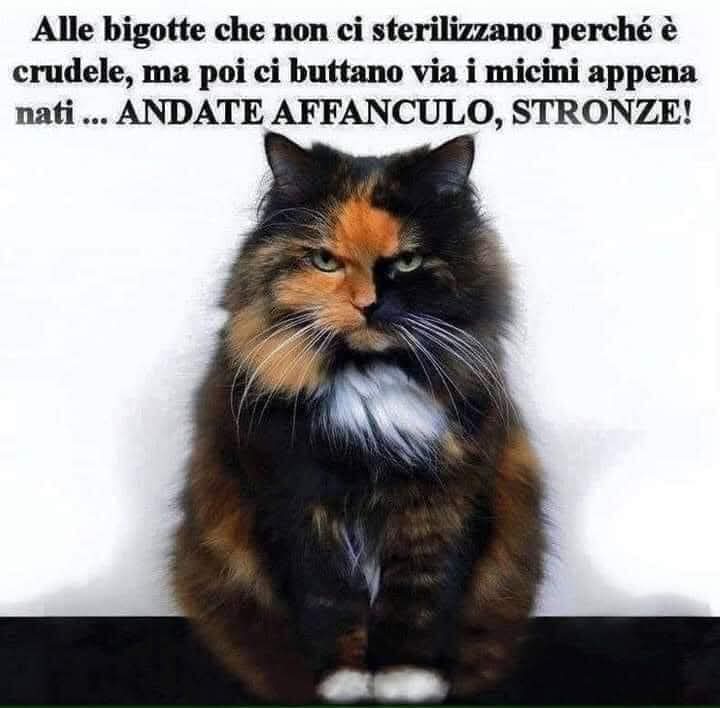 EAdottare's tweet photo. Sempre valido 👏 #sterilizza https://t.co/NwgvUXhU0y