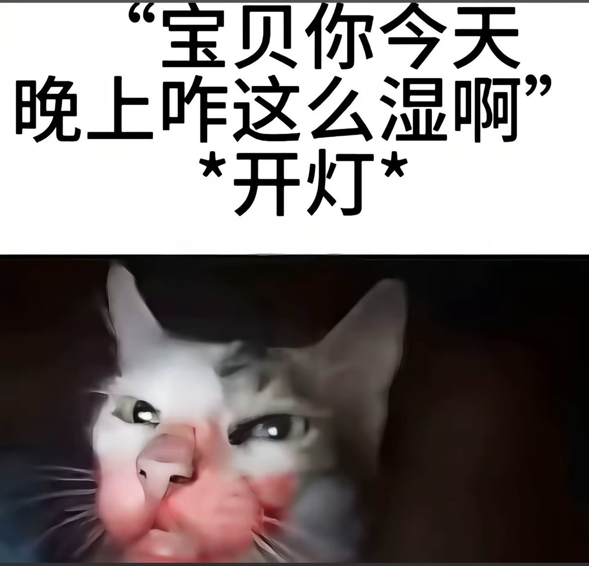 爱玩聚众杀人游戏 tweet media