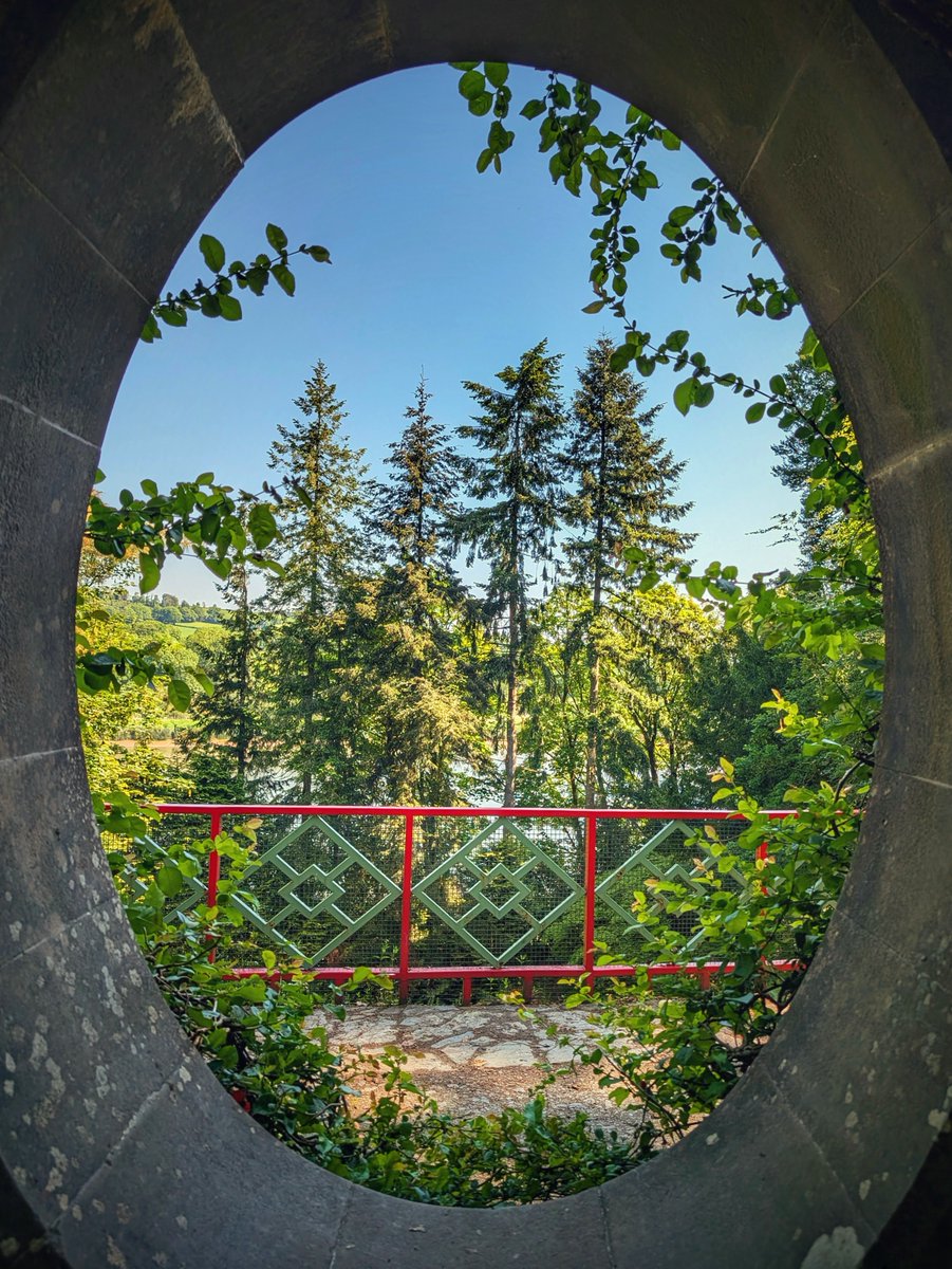 pocketireland's tweet photo. Waterford Moon Window.
#photography #EastCoastKin #TeamPixel #Ireland #Waterford #MountCongreve #Gardens #TravelIreland #Woodlands #IrishLandscape #smartphonephotography #IrishGardens #DiscoverIreland #InstaIreland #LoveIreland #WaterfordGreenway #VisitWaterford https://t.co/CR9DcNfeso