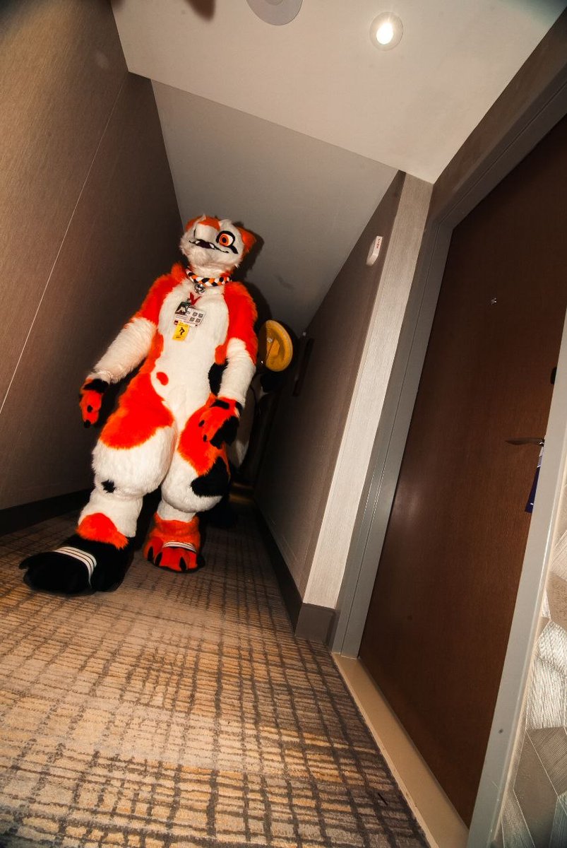 SergTheCreator's tweet photo. Here he comes.....

#FursuitFriday #sergal
 📸: b/skunkcraft https://t.co/Nx5lqE9P1x