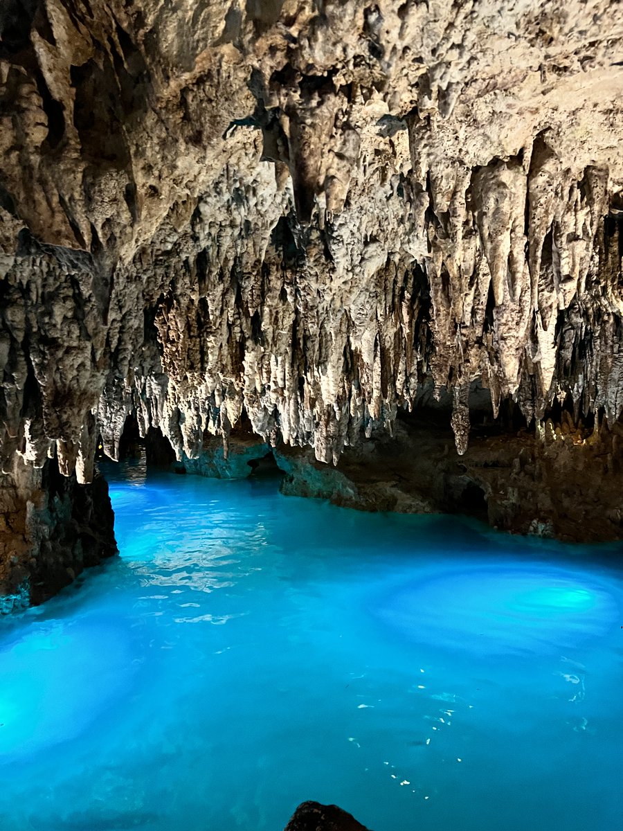 XplorPark's tweet photo. POV: por fin estás en Xplor 😱 https://t.co/lYJA0zACUn