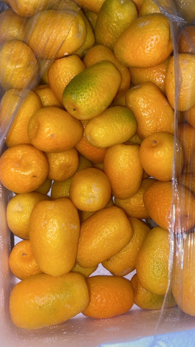 sh3hiati's tweet photo. لقيت واحد يبيع فواكه على الطريق ويقول إنه من العلا.. اخذت من عنده نوع صغير يشبه البرتقال وينأكل بقشره 😁

طبعا طعمه لذيذ بشكل ما شاء الله، أحد يعرف اسمه ممكن تفيدونا؟!😕 https://t.co/LDVQBDoyLn