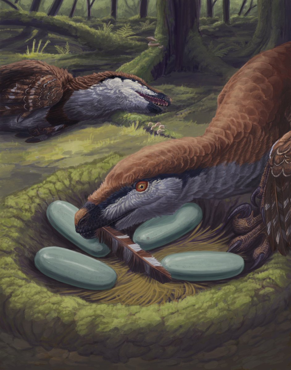 Sean Closson🦕🦖 tweet media