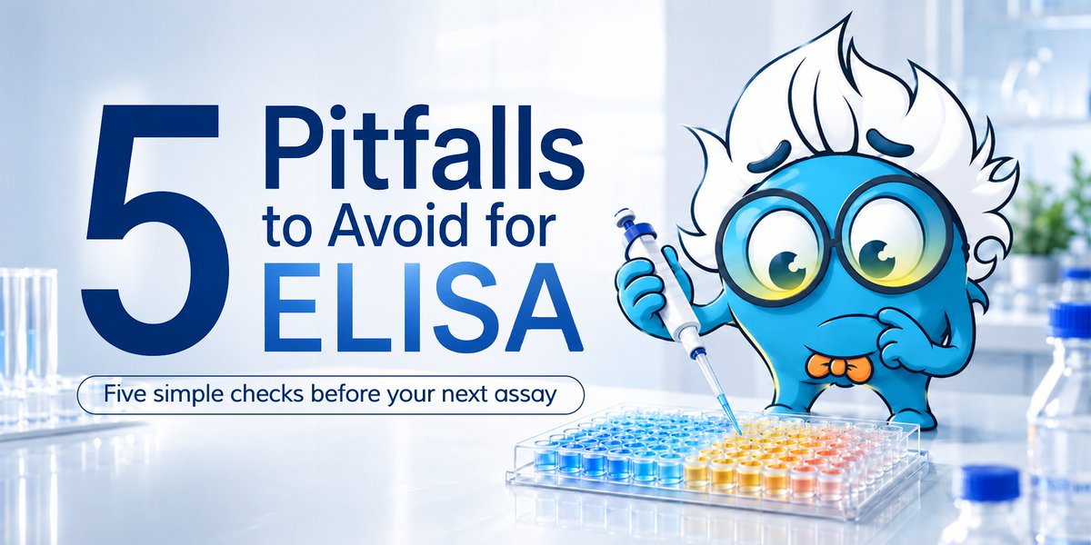 BosterbioCo's tweet photo. 👀 ELISA problems are not always dramatic. 
Sometimes the culprit is not the kit.
It might be a drying well, reused reagents, or one detail hiding in plain sight. 🕵️  

5 quick checks before your next assay:https://t.co/YwSLcObB9x 
#ELISA #LabTips #Immunoassay #BosterBio https://t.co/dSU5wdVZYr