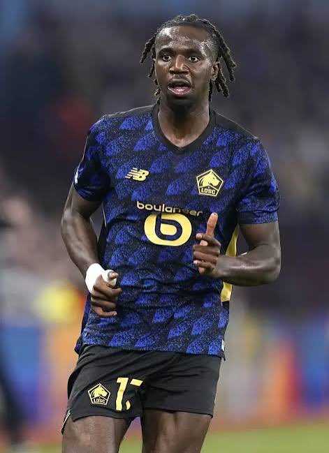 THFC NEWS tweet media