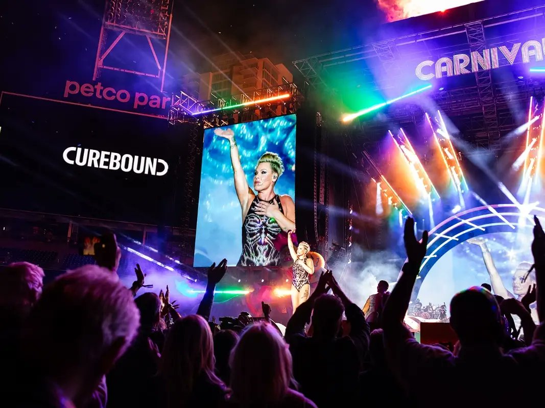 PinkChartData's tweet photo. P!nk's Curebound cancer research benefit concert at Petco Park raised $8.25 million. https://t.co/EG7Mdk5luF