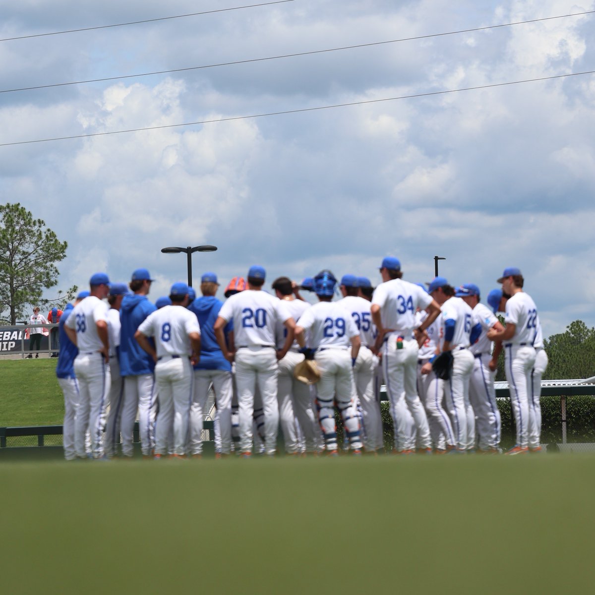Florida Gators Baseball tweet media