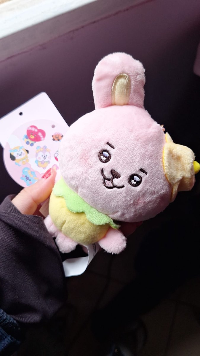 lusnpider's tweet photo. meu cooky fadinha chegou https://t.co/3gKeyE0F55