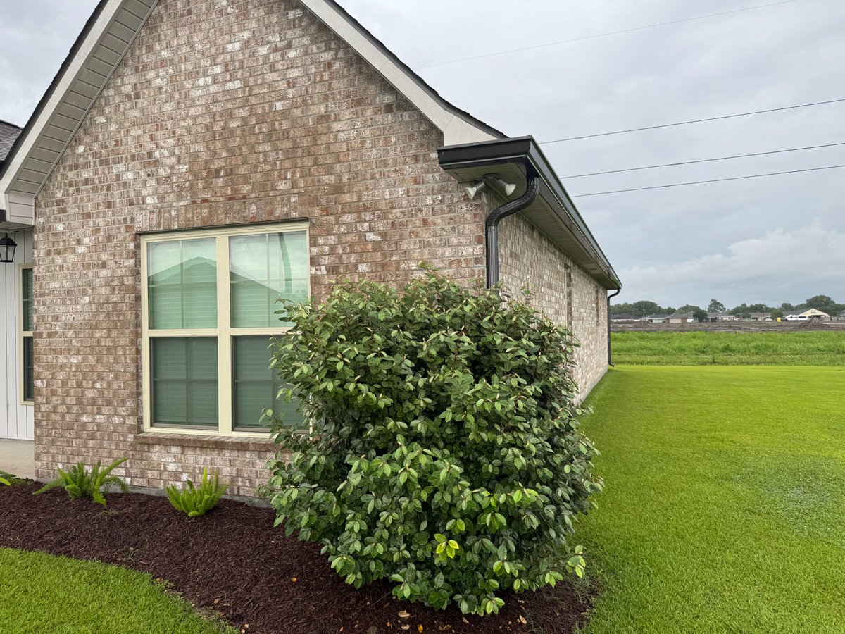 RGuttersPro's tweet photo. Seamless Gutters = Reliable Protection
‼️FREE Estimates 985-304-8551‼️

#gutters #seamlessgutters #HomeProtection #HomeUpgrade https://t.co/OJsmYaufVw