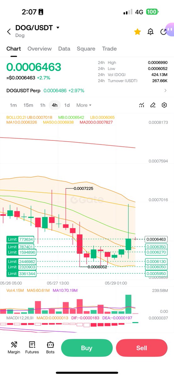 The Argentinian $DOG 🧡 Doing it for the $VINE 💚 tweet media