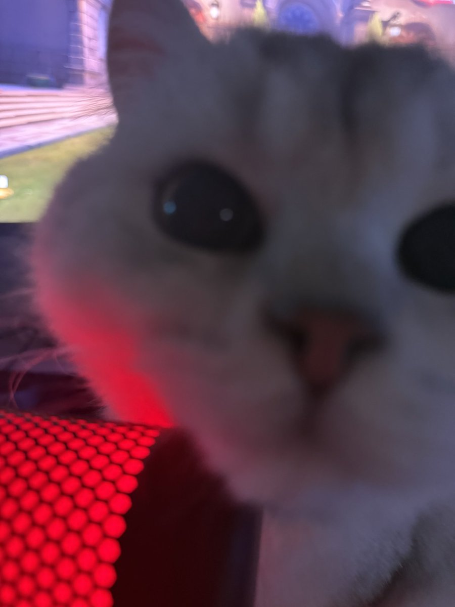 RyaaLiu's tweet photo. alguien no me dejaba jugar overwatch ayer https://t.co/UI5H9YF4pY